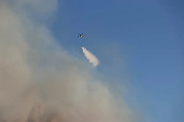 Son dakika: Bakan Bekir Pakdemirli’den Çeşme’deki orman yangını hakkında flaş açıklama