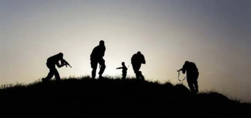 Lice'de PKK'dan bombalı tuzak; 1 asker yaralı