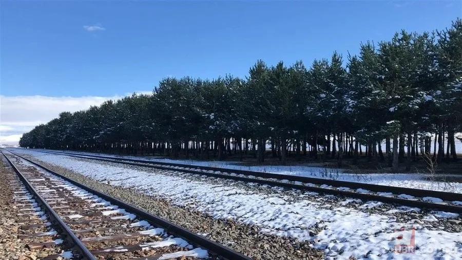 Bozkırın ortasında yemyeşil doğa! Hayran bırakan görüntüler 9