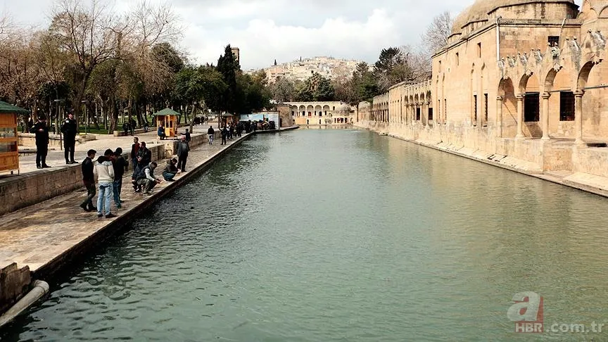 Balıklıgöl Hikayesi | Balıklar neden yenmiyor? Hz. İbrahim'in Balıklıgöl kıssası gerçek mi? Kur'an-ı Kerim'de anlatılıyor mu? 5