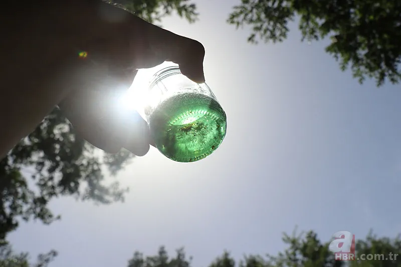 Kovandan çıkan bal görenleri şaşkına çevirdi! Kilosu 20 bin TL... 8