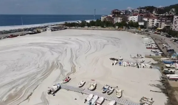 Müsilaj tehlikeli mi? Çevre ve Şehircilik Bakanlığından son dakika açıklaması!