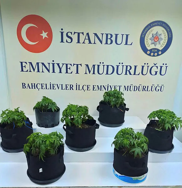 istanbulda-uyusturucu-imalati-yapan-bir-kisi-gozaltina-alindi-1622969865332.jpg İstanbul'da uyuşturucu imalatı yapan bir kişi gözaltına alındı - 1