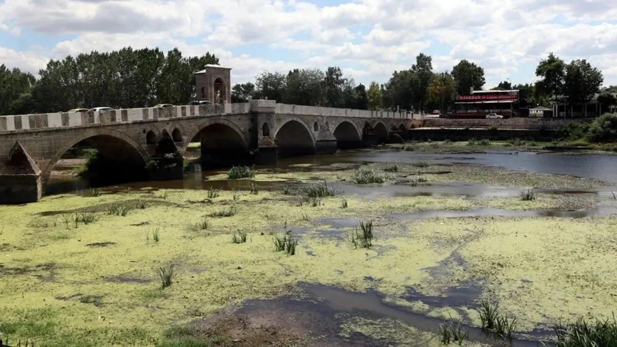 Tunca Nehri'nin yüzeyinin büyük bir kısmı yosun ve su mercimekleriyle kaplandı
