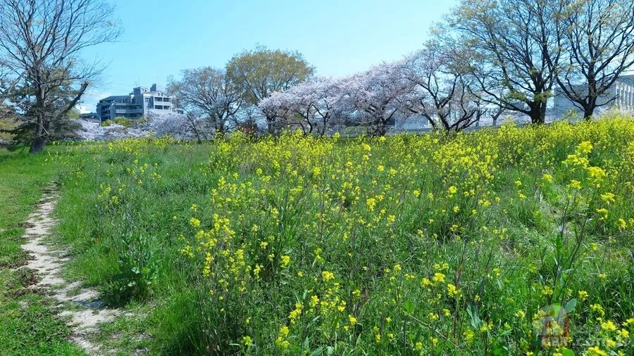 2026 Nevruz Bayramı ne zaman? İşte tarihi ve gelenekleri 4