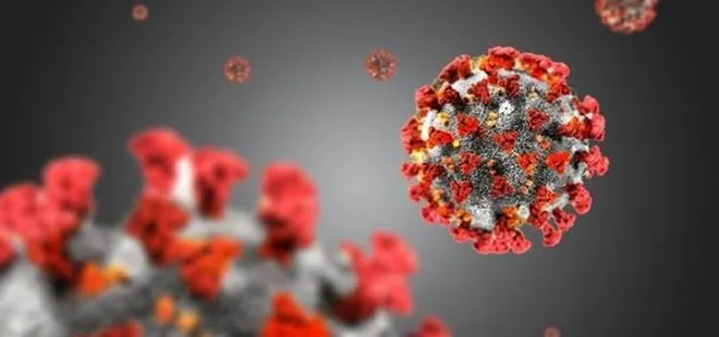 Mutasyon geçiren koronavirüs hakkında ne biliniyor? Yeni virüs kimleri daha çok etkiliyor? Nerelerde görüldü?