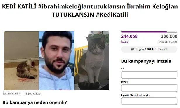 ibrahim-keloglan-son-dakika-kedi-erosu-katleden-cani-hakkinda-yeni-gelisme-ibrahim-keloglan-tutuklandi-mi-1708436973585.jpg İbrahim Keloğlan son dakika | Kedi Eros'u katleden cani hakkında yeni gelişme! İbrahim Keloğlan tutuklandı mı? - 4