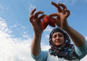 Gelin geldiği köyde patron oldu
