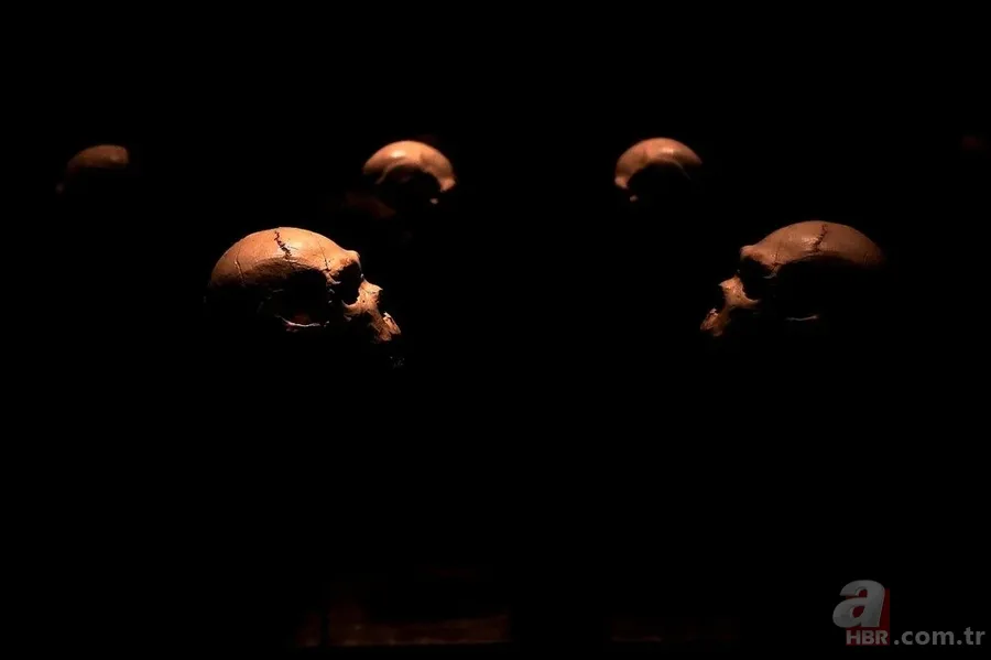 Dünya tarihini değiştirecek keşif! 1,4 milyon yaşında 19