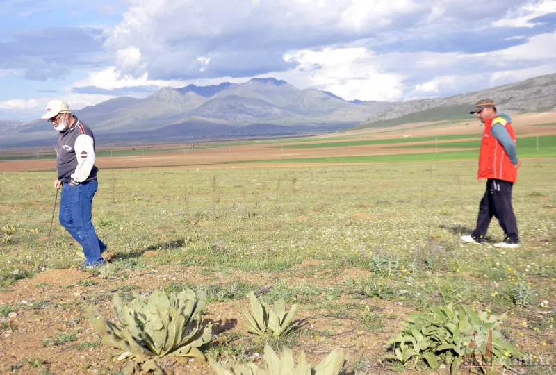 Karaman’da vatandaşlar kilosu 200 lirayı bulan domalan mantarını karış karış arıyor! 5