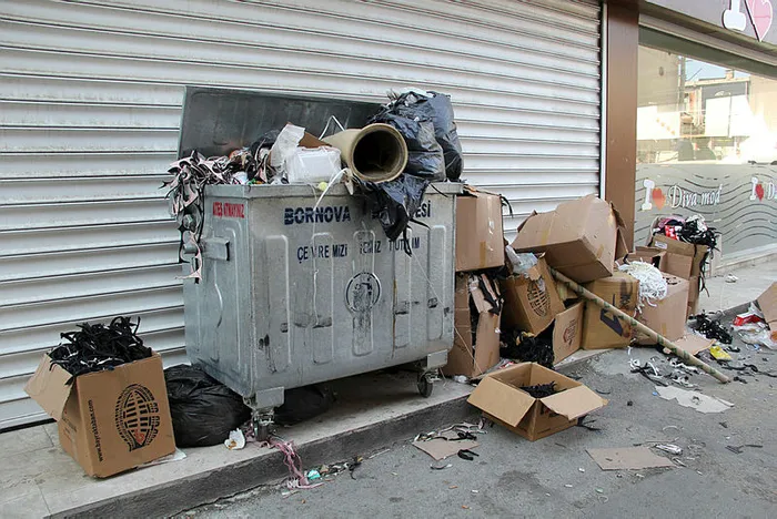 İzmir Bornova'da çöp dağları oluştu, İstanbullu korktu - 1