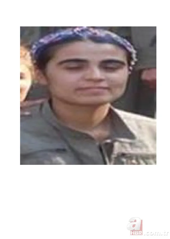 Tunceli'de PKK'ya büyük darbe! İşte operasyon görüntüleri 7