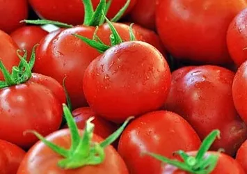 Domatesin yeni rotası belli oldu