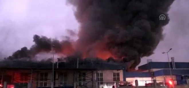 Düzce’de orman ürünleri fabrikasında patlama: 1 yaralı