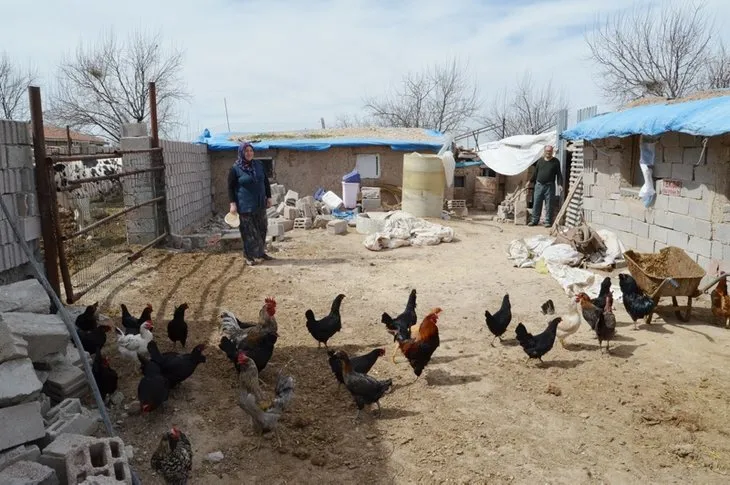 Aksaray’da bin lira kredi desteği alan Hatice Gökçe 11 yılda çiftlik kurdu