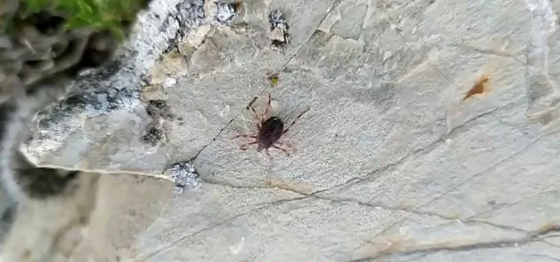 KKKA Bilim Kurulu toplandı! İşte dikkat edilmesi gerekenler...