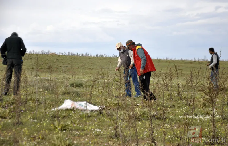 Karaman’da vatandaşlar kilosu 200 lirayı bulan domalan mantarını karış karış arıyor! 2