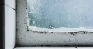 Bir tane koyan rutubetten kurtuluyor! Banyodaki tüm nemi yok ediyor