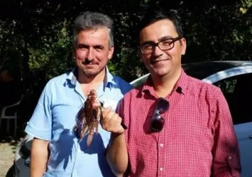 Muğla'da zehirli aslan bulundu