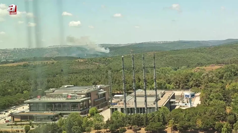 İstanbul’da korkutan orman yangını