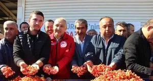 İlk kirazın kilosu 3 bin 500 TL’den satıldı