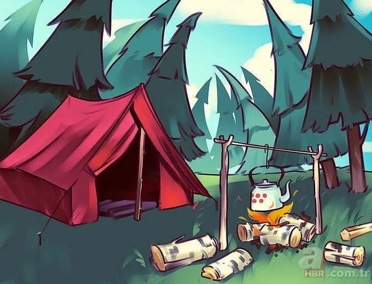 Sosyal medyayı sallayan zeka testi! Kimse bulamıyor... 24