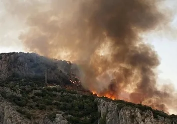 Muğla'da makilik alanda yangın! Söndürüldü