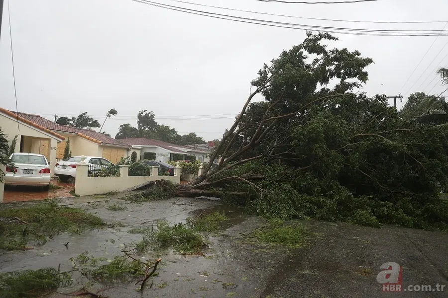 Irma Kasırgası Florida'ya ulaştı 13