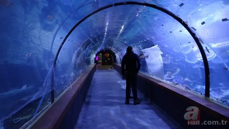 Trabzon’da tarihi vadilerin arasındaki Tünel Akvaryum ziyarete açıldı