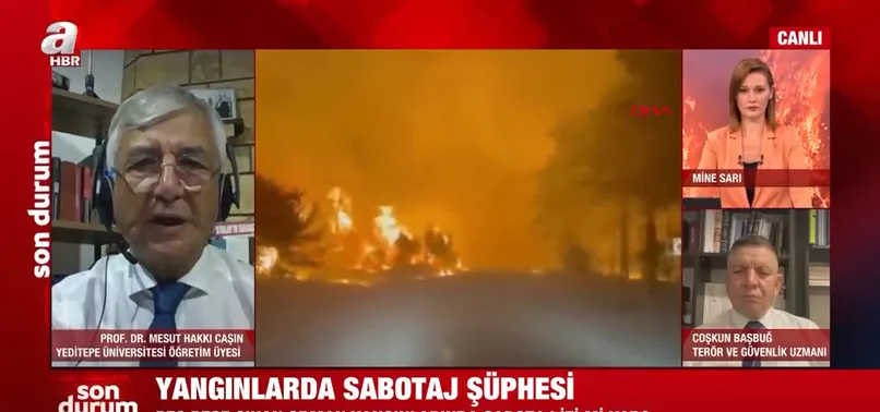 Orman yangınlarıyla ilgili A Haber'de flaş açıklamalar: MİT peşlerinde...