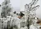 Hava -10 dereceyi gördü! Ağaç dalları buz tuttu