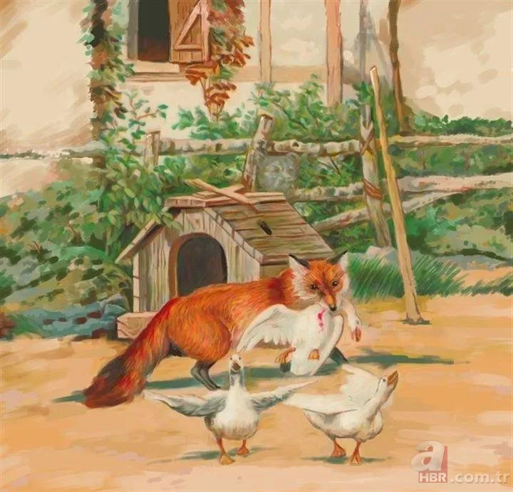 Sosyal medyayı sallayan soru! Cevabını çok az kişi biliyor 4