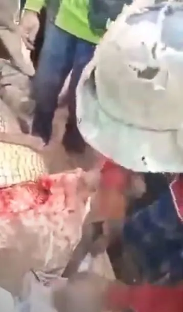 Timsahın karnından insan çıktı! Kan donduran anlar böyle görüntülendi...