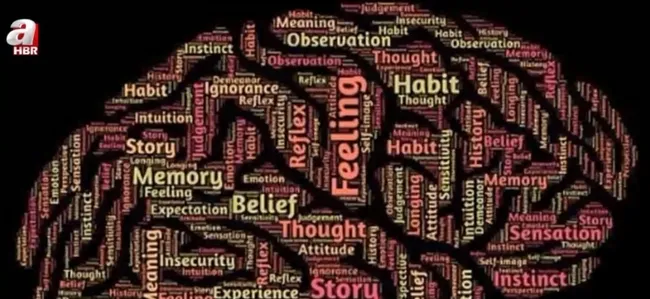 Algı yönetimi nasıl yapılır? 25. kare ile algı nasıl oluşturulur?