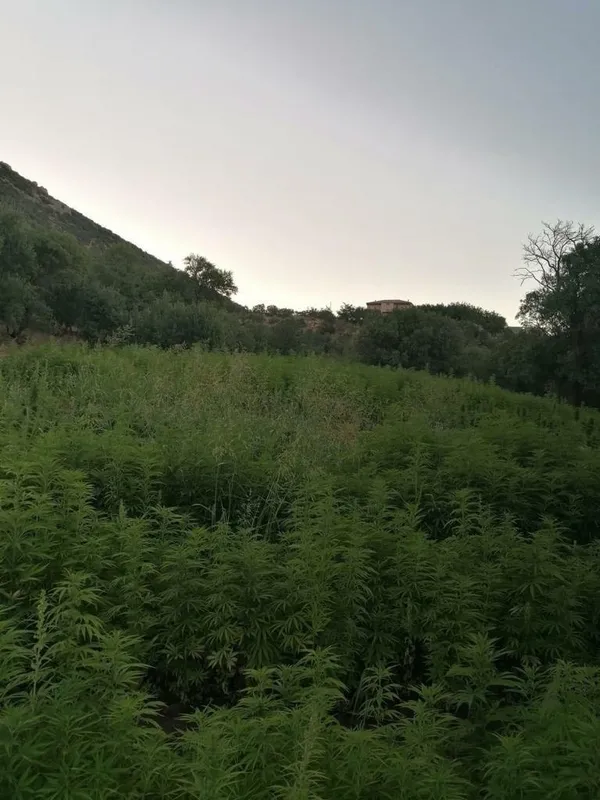 Eren Abluka-23 Operasyonu başlatıldı! Terörün finansman kaynağına bir darbe daha vuruldu - 4