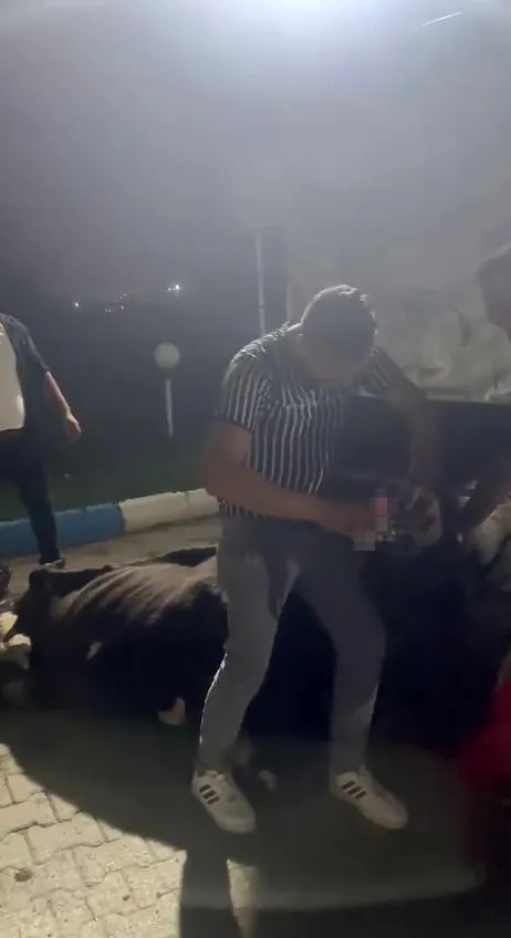 1699500376023.jpg Sakarya'da skandal olay: İneğe zorla alkol içirdiler! Savcılık harekete geçti - 1