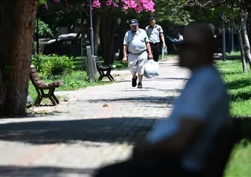 Yeşilin gücü kalbe iyi geliyor! Ruh ve beden sağlığına çifte fayda