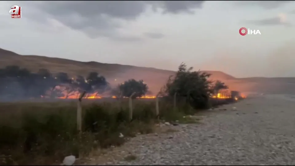 Van’da ağaçlık alanda yangın