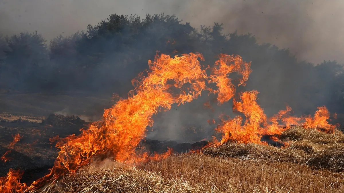 Çanakkale, İzmir, Uşak'ta orman yangını! Köyler ve evler tahliye edildi | Kontrol altına alındı