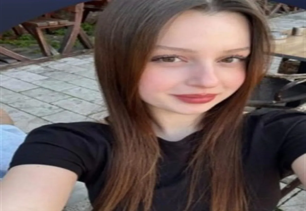 Bursa'da Gökçe Alkan cinayeti! Aileden yürek yakan isyan: "Hastanedeyim diyerek tuzağa çekmiş" - 6
