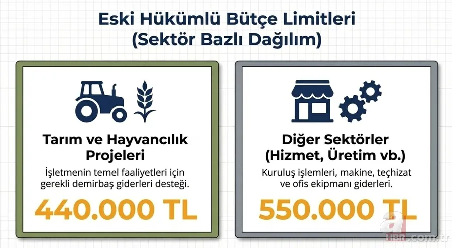 Devletten 735 bin TL geri ödemesiz hibe: Başvuru süresi bitiyor! Kimler başvurabilir? 5