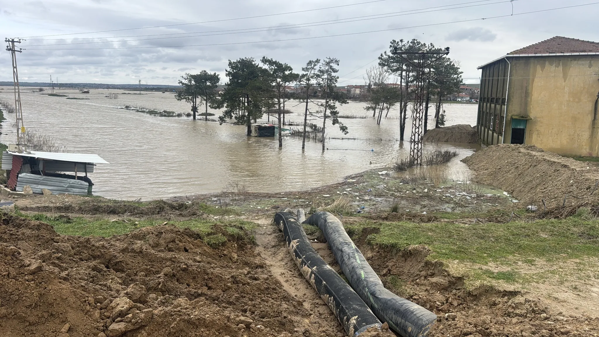 Edirne'de taşkın alarmı: Nehir debileri zirveyi gördü, kent sular altında kalabilir