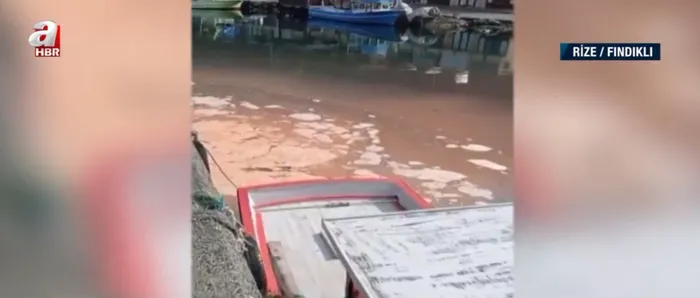 Rize Fındıklı'da tedirgin eden görüntü! Denize kamyondaki atığı döktüler - 3