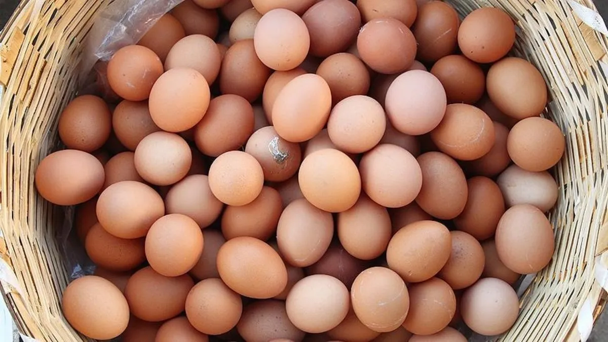 Yumurtanın bir faydası daha ortaya çıktı