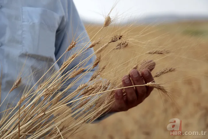 5 yildir bunu yapana devletten geri odeme 2 500 tl iade hesabiniza yatacak hemen kontrol edin 5 yildir bunu yapana devletten geri odeme 2 500 tl iade hesabiniza yatacak hemen kontrol edin