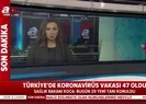 Koronavirüs testi pozitif çıkan vaka sayısı açıkladı