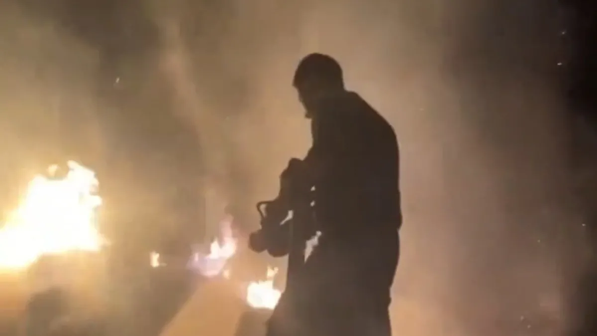 Van'da 2 bin 600 bağ ot yandı! Alevler kontrol altında