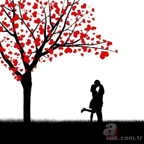 En güzel Sevgililer Günü mesajları… Sevgiliye anlamlı resimli mesajlar! 14 Şubat Sevgililer Günü sözleri ve mesajları! 2
