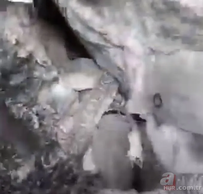 Anakonda ormanda insana saldırdı 🐍 Tam mağaraya götürürken... 15