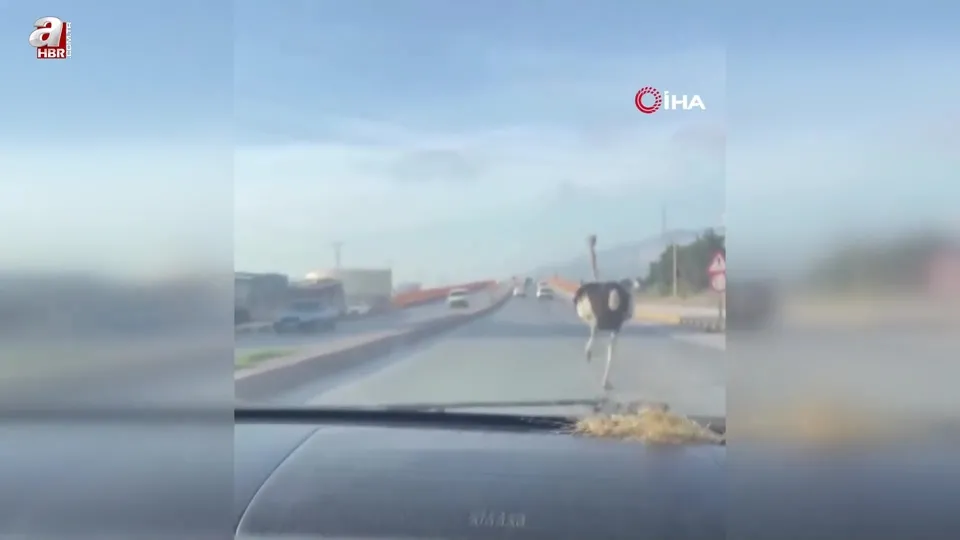 Trafikte gören vatandaş ’abov’ diyerek şaşırdı